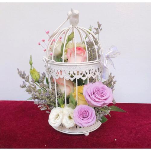 Outdoor Modern iron garden wrought metal birdcage white bird cage with Bird hook decoration hanging flowerpot succulent plants