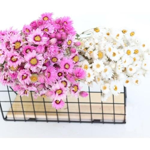 Wholesale Real Natural Preserved Dried Flowers Bouquet Small Helichrysum Daisy Pink White Home Art Decoration Valentine Day Gift