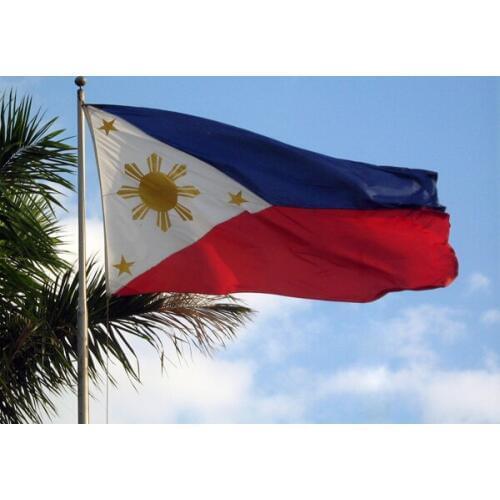 Free Shipping Filipino Flag NEW 100% Polyester Philippines Flag 3x5 ft Flag of Philippines 90x 150cm Philippines National Flag
