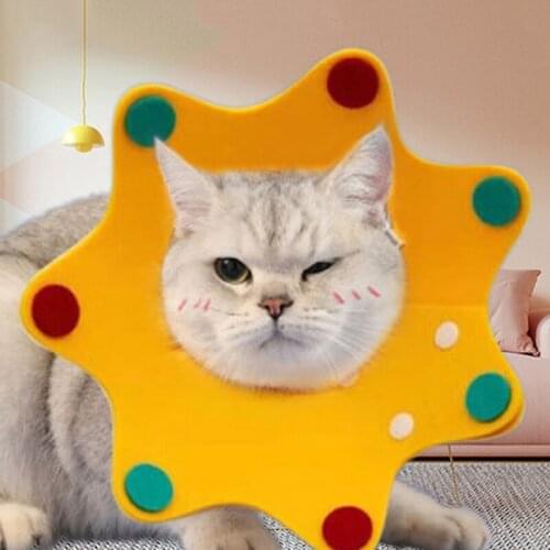 Cat Recovery Collar Crown Shaped Elizabethan Collar Wound Healing Protective Cone for Kitten Puppy 3 Colors and 3 Sizes