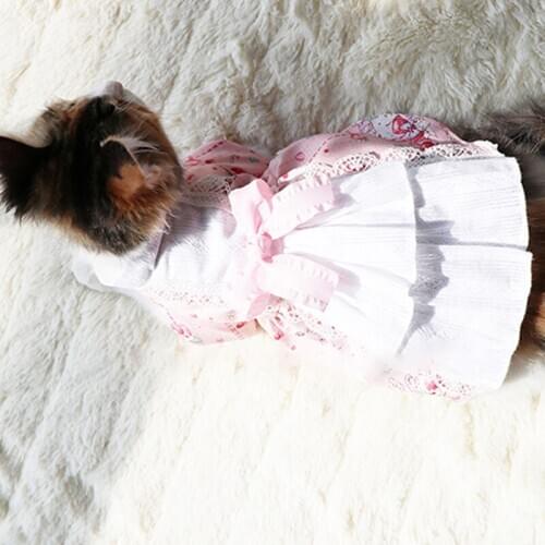 Sweet Dress Up Dogs and Cats Pet Clothes Spring Autumn and Summer Lolita Cute Princess Dress Small Dog Pups Princess Cat Dress