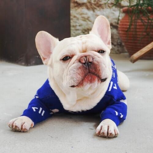 Winter Dog Clothes Fashion Pet Puppy Sweater Hoodie French Bulldog Pug Teddy Jacket Coat for Dogs Pets Costumes A75
