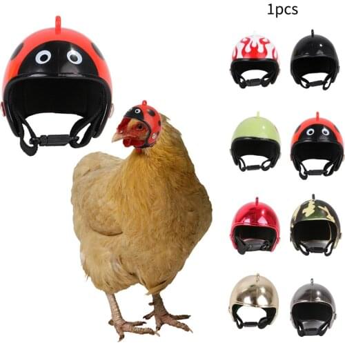 Hoomall Products For Birds