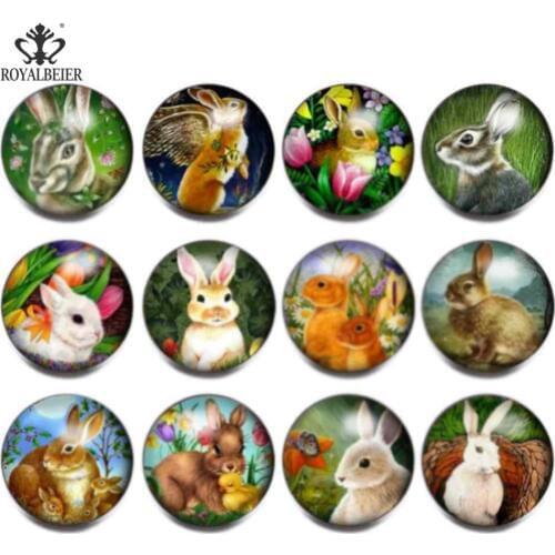 12pcs/lot New Glass Snap Jewelry Mixed Beautiful Animal Patterns 18mm Snaps Bracelet Replaceable Snap Button Jewelry KZ1080