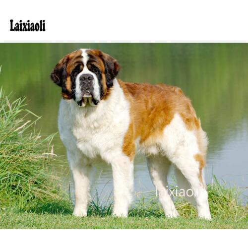 Full Drill Square round 5D DIY Diamond Painting Saint Bernard Dog pet Diamond Embroidery Cross Stitch Mosaic Rhinestone decor