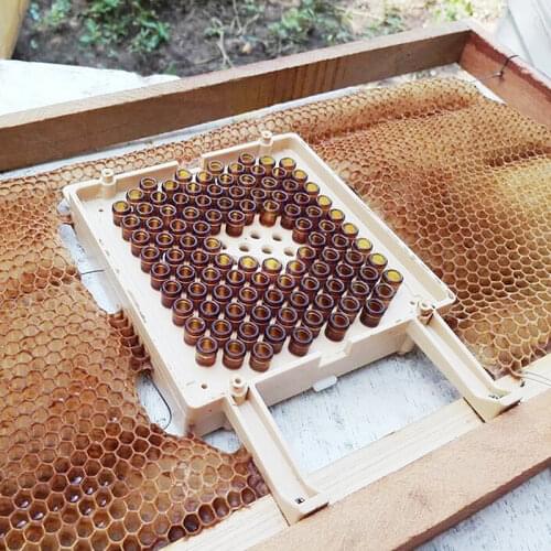 Karl Jenter Queen Rearing Larva Education Starter Full Set for Beekeeping Jenter Queen Rearing Kit for Bee Breeding