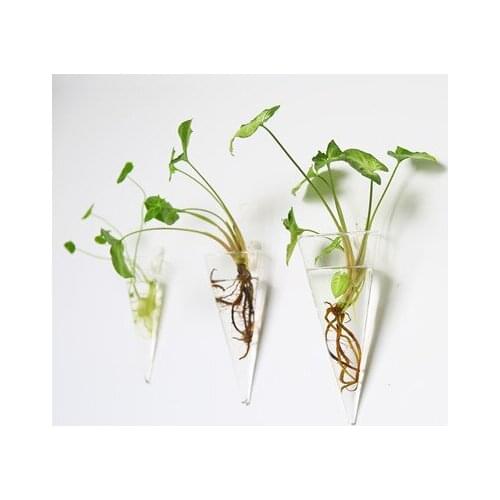 Creative wall hanging vase multi-purpose transparent glass hydroponic vase flower pot