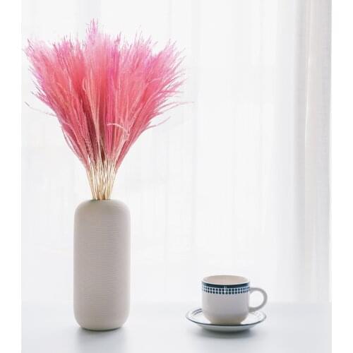 Wedding Flowers Pampas Grass Large Size Fluffy For Home Christmas Decor Natural Plants White Dried Flower Pampas Merry Plant