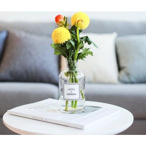 Nordic feng hydroponic plant desktop small vase office water culture small green plant fragrance bottle glass living room decora