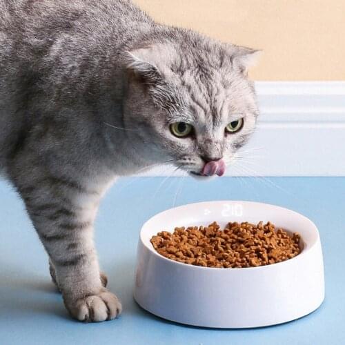 Pet Dog Bowl Smart Weighing Cat Food Bowl Pet Food Dispenser LCD Screen Cat Food Bowls NonSlip Anti Gulping Eating Bowl