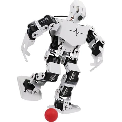 BlueRaven AI Intelligent Programmable OpenCV Smart Vision Humanoid Robot Powered by Raspberry Pi