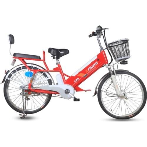 Powerful Electric Bicycle 20/24 Inch Two Wheels Electric Bicycle 350W 60V Electric Bike With Double Seat/Removable Battery
