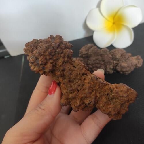 Rare prehistoric raw dinosaur dung fossil for decoration gift