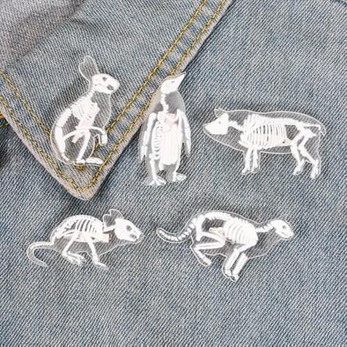 6 Styles Animal Skeleton acrylic pin Cat pig rabbit penguin bird rat brooch Badge Lapel Clothes bag jewelry Gift for friend