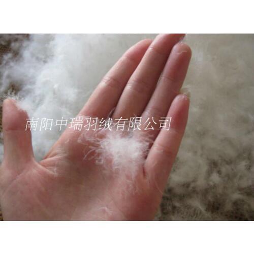 1 lb/price & 90%white goose down & goose down quilt filler& filling power 800++ cuin paypal accepted