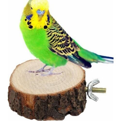 Ronde Houten Eekhoorn Parrot Bird Perch Stand Platform Huisdier Vogel Opknoping Speelgoed