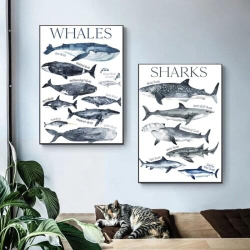 Watercolor Whale Nursery Wall Art Canvas Painting Shark Poster and Print Beach Nautical Modern Wall Picture Room Home Decoration