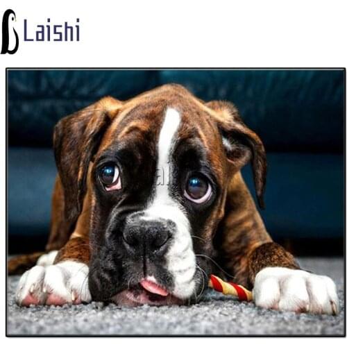 5d Diy Diamond Painting Boxer Dog Full Diamond Square Round Diamond Embroidery Shar Pei Mosaic Kit Picture Rhinestone Wall decor