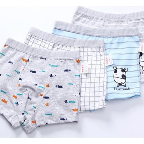 2pc/lot Boys Panties Cotton Boxer Shorts Young Pantie Briefs Kids Baby Girl Clothes Panties for Kids