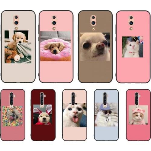 YNDFCNB Super cute cats dogs photos Phone Case For OPPO A5 A9 A5S A1K A37 F7 F5 F9 RealmeX C2 C3 X2PRo XT 3 5 6Pro Reno2Z