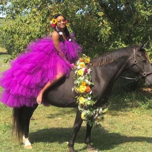 Purple Prom Dress Lush abendkleider Puffy Tulle Ruffles Long Tulle Dresses To Party Women Tutu Dress Tiered Elastic Band Custom