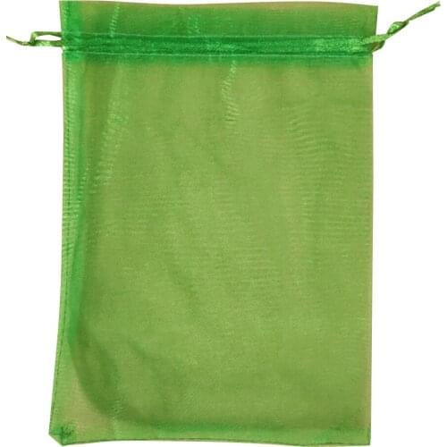 50pcs Garden Vegetable Fruit Grow Bag Plants Protection Bag Anti Bird Drawstring Netting Candy Makeup Mesh Pouch Pest Control