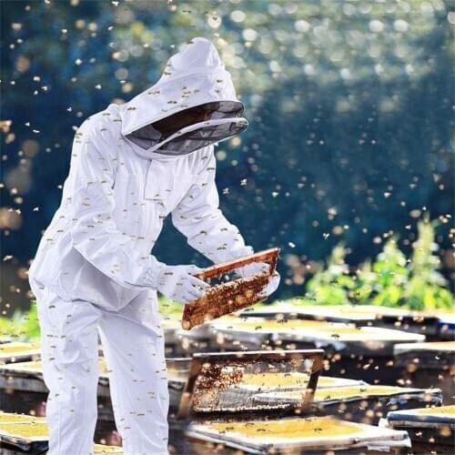 Anti-Bee Coat Beekeeping Suit Beekeeping Tools PVC Special Protective Clothing Beekeeping Clothing Body Equipment