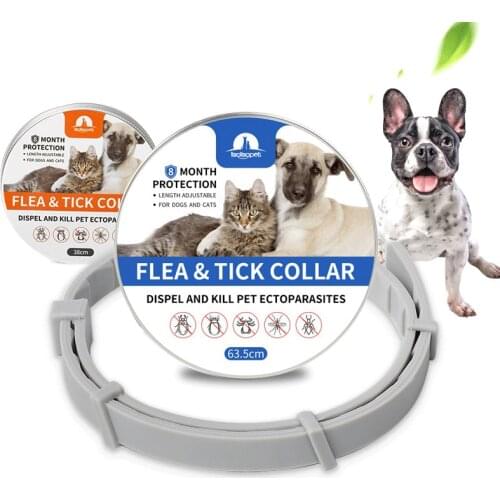 Antiparasitic Collars Harnesses Leads Pet Products Collar From Fleas and Ticks Dog Leashes for Dogs Flexi Leash Large a Supplies