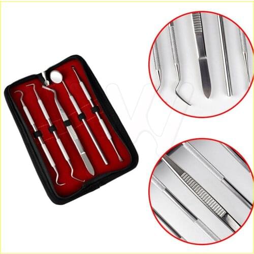 5pcs/Lot Stainless Dental Oral Cavity Checker Tool Set Kit Teeth Clean Hygiene