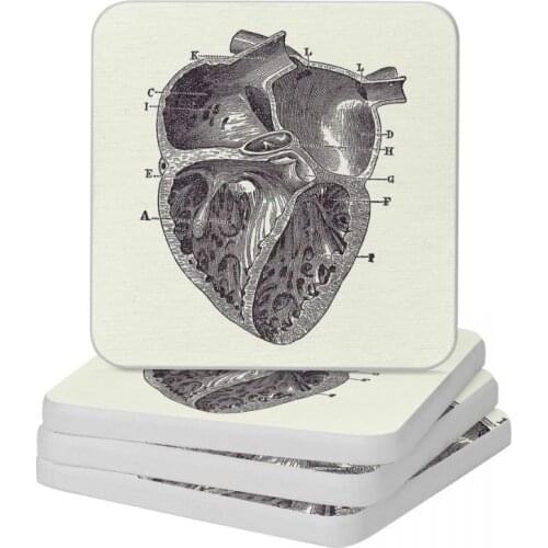 Inner Heart Diagram Vintage Anatomy 2 Diatomite Square Round Coaster Water Absorption Cup Bonsai Mat Soap Pad Diameter 10cm