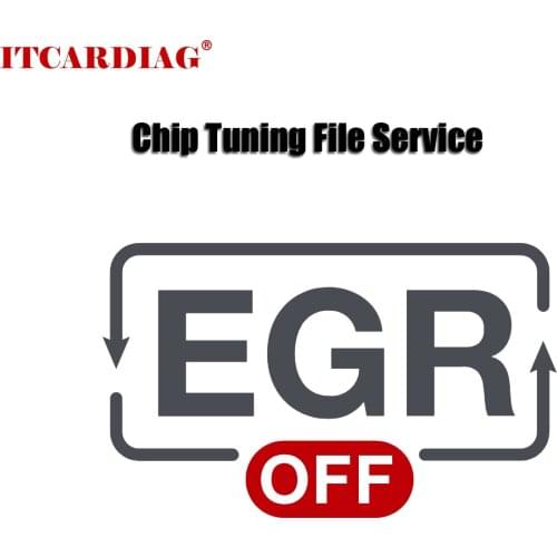 Chip Tuning File Service for EGR OFF DELETE