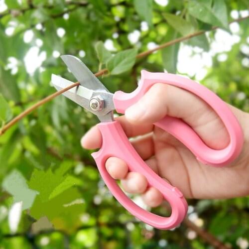 Stainless Steel Flower Pruning Tool Garden Scissors For Fruit Trees Flowers Arrangement Branches Home Scissors Pruning Shears