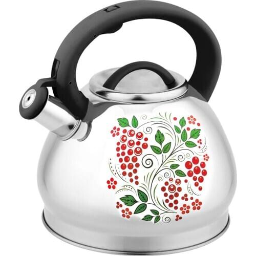 3L Stainless Steel Whistling Tea Kettle With Heat-proof Handle Discoloration Water Kettle For Induction Stove, Gas Stove