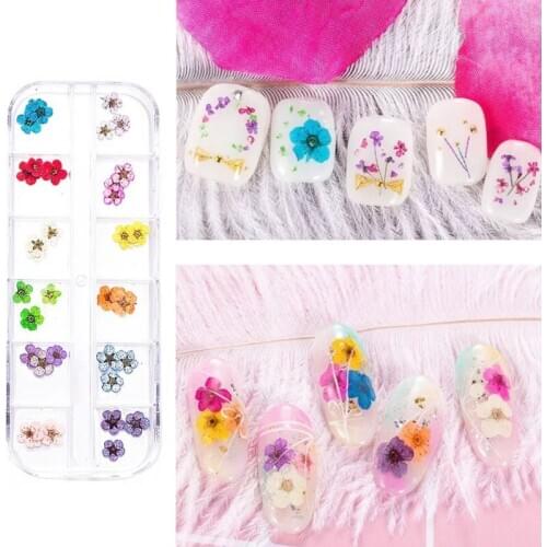 Nail Art Accessories Dried Flowers Colorful Life Nail Flower Stickers For DIY Crafts Nails Decorations Nail Salon Nail Decals
