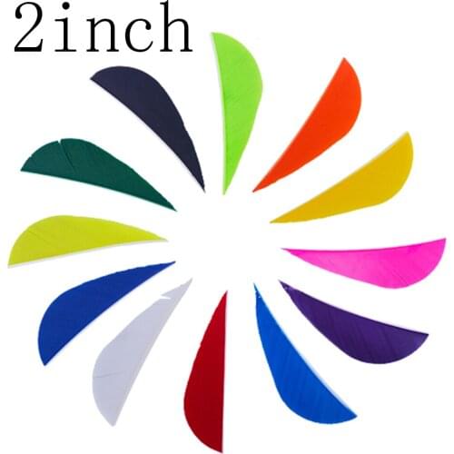 50pcs 2 Inches Arrow Feather Turkey Arrow Van Vanes Fletches Archery DIY Arrow Accessory for Carbon Fiberglass Arrow