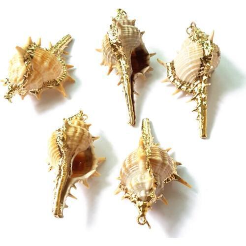 5pcs/Lot Nature Shell Pendant Gold Color Beautiful Conch Shell with Angle Fashion Jewelry Findings and Compents for Summer
