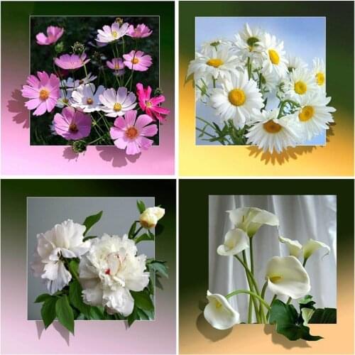 5D DIY Diamond Painting Daisy Rose Flower Cross Stitch Mosaic Diamond Embroidery Full Round Resin Rhinestone Home Decoration