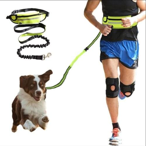 Hands Free Dog Leash Reflective Pet Elastic Belt Running Dog nylon Leash Set Collar Pet Accessories Puppy Dog Harness Leash