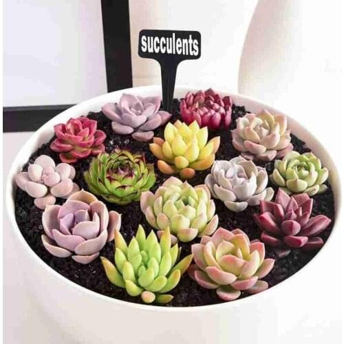 Horticultural Flower Label Plant Markers Garden Bonsai Sign Gardening Paint Sticks Succulent Stake Tags Seedings Labels Soi