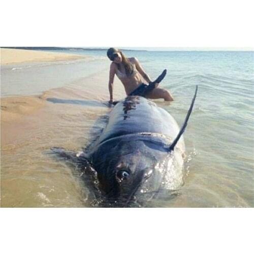 100% Original SHIMANO OCEA JIGGER F CUSTOM 1000HG 1001HG 1500HG 1501HG 2000NRHG 2001NRHG 3000HG Fishing Reels Saltwater Japan