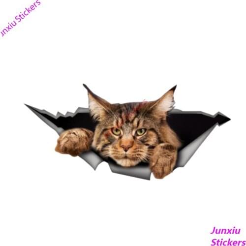 13cm X 6cm Personality Car Stickers PVC Decal Maine Coon 3D Pet Animal Motorcycle Car Window Accessories
