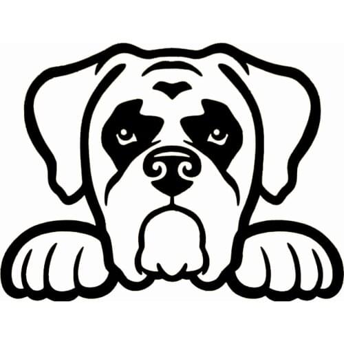 JuYouHui Exterior Accessories Decal Cool BOXER DOG PEEKING Funny Vinyl Car Decals Window Bumper Stickers