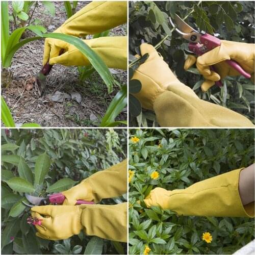 1 Pair Gardening Gloves Durable Anti-puncture Protective Gloves For Rose Pruning Fruit Picking Weeding Planting Nonslip Gloves