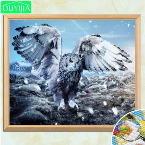 OUYIJIA Climbing And Mountaineering Products