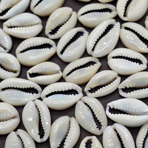 50pcs 1.5/2cm Small Bulk Cut Beach Sea Natural Shell Conch Beads Cowry Cowrie Tribal Jewelery Craft Accessories Holes DIY