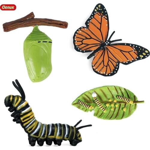 Oenux New Insect Animals Model Simulation Butterfly Growth Cycle Action Figures Figurine Miniature Educational Cute Kids Toys