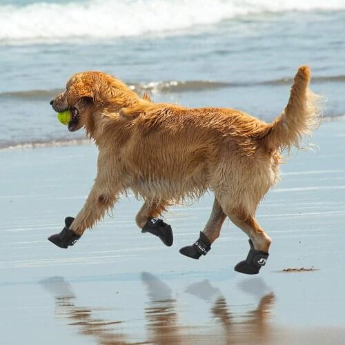 LOOGU Shoes For Dogs