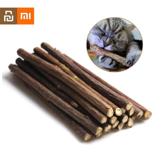 Xiaomi Pet Natural Catnip Cat Molar Toothpaste Stick Matatabi Actinidia Fruit Silvervine Cat Snacks Sticks Pet Cleaning Teeth MI