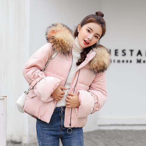 2019 Real Polyester Long Full Winter Clothes New Fashion Color Fox Hair Lead Mianfu Bat Sleeve Waist Cotton-padded Loose Woman