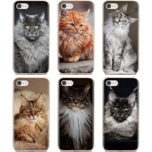 Pet maine coon cat For Huawei Mate 20 30 40 7 8 9 10 Lite Pro P Smart 2018 2019 Plus G7 G8 Covers
